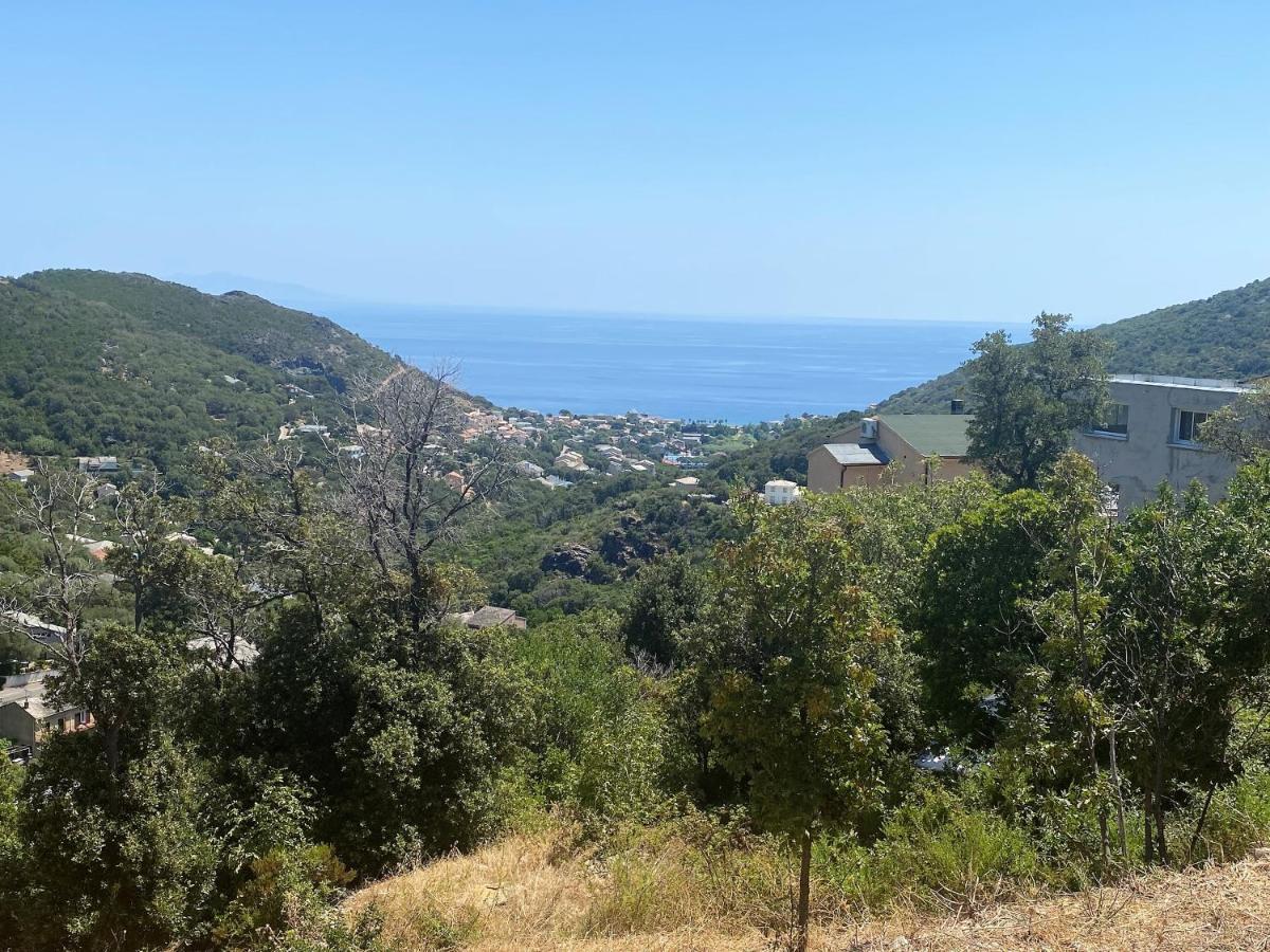 U Cavallu - Luxe Entre Mer Et Montagne Santa-Maria-di-Lota 외부 사진